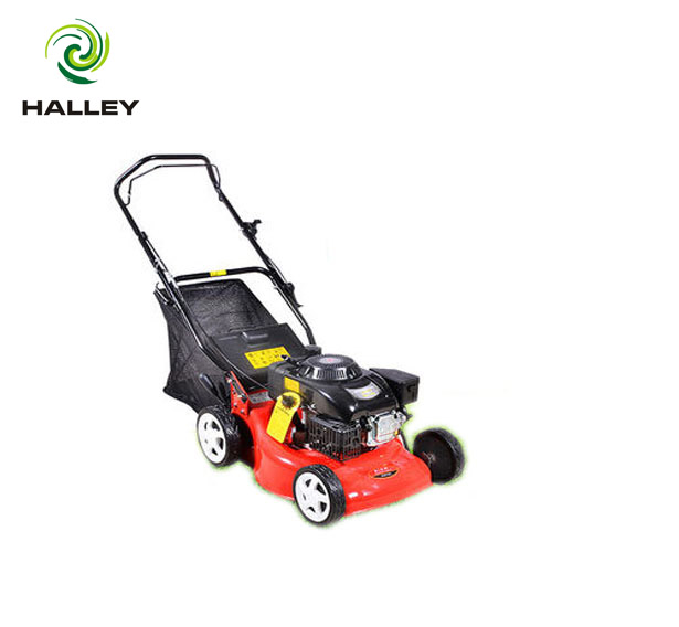 1663 handpush mower.jpg